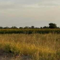 Iğdır&rsquo;da doğa koruma faaliyetlerine devam ediliyor