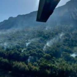 İzmir Menderes'te orman yangını kontrol altına alındı!