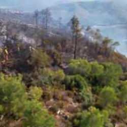 İzmir Menderes'teki orman yangını ile ilgili yeni gelişme!