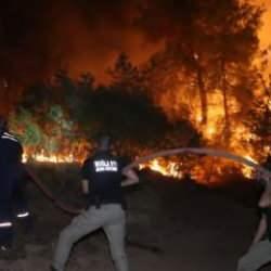 İzmir ve Muğla'daki orman yangınlarında yeni tutuklama