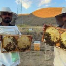 Londra'dan Bing&ouml;l'e altın madalya getirdiler! Talep patlaması yaşanıyor
