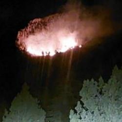 Mersin'de orman yangını