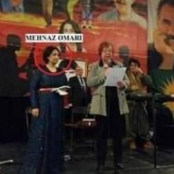 MİT ve Emniyet'ten ortak operasyon! PKK'nın Finlandiya sözde sorumlusu yakalandı