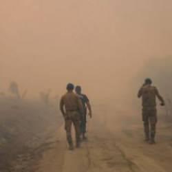 Son Dakika... Ankara-Bolu sınırında orman yangını: Bir kişi gözaltında