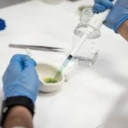 T&Uuml;BİTAK desteğiyle kimyasal i&ccedil;ermeyen kuraklığa diren&ccedil;li sol&uuml;syon &uuml;rettiler