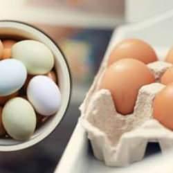 Yumurta ne kadar dayanır? Buzdolabının yumurtalık gözünde yumurta saklayanlar dikkat!