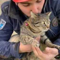 Depremde kurtarılan "Maraş" isimli kedi araba sallanınca bağırıyor