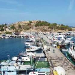 Av yasağı bitti, balıkçılar yeni sezona ‘Vira Bismillah' dedi