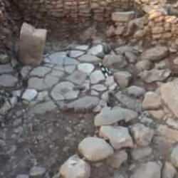 Bakan Ersoy, yeni keşfi açıkladı: Nadir örneklerden