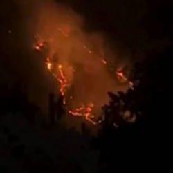 Bursa'daki orman yangınında 7'inci saat: M&uuml;dahale s&uuml;r&uuml;yor