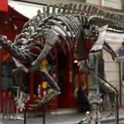 Dinozorlara dair büyük keşif: Ayak izleri eşleşti