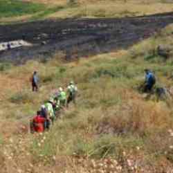 Kayıp 8 yaşındaki Narin için Dicle Elektrik'ten gönüllü ekip