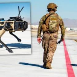 İngiltere'den Ukrayna'ya "robot savaş köpeği" desteği