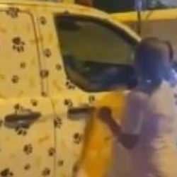 İstanbul Fatih'te başıboş k&ouml;pekleri toplayan ekiplere saldırıp, tehdit ettiler!