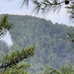 Muğla'da yıldırım kaynaklı orman yangınları meydana geldi