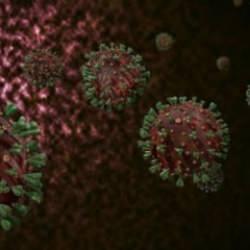 Nijerya'da M çiçeği vaka sayısı artıyor