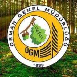 OGM'den otel iddialarına yanıt