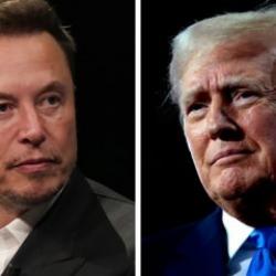 Trump: Musk danışmanlık yapabilir