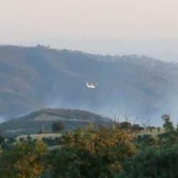Uşak'taki orman yangınları kontrol altına alındı
