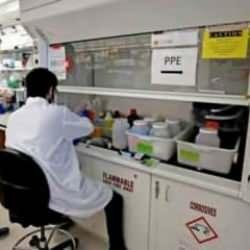 ABD'de ilk defa g&ouml;r&uuml;ld&uuml;! Hayvanla teması olmayan bir insanda kuş gribi &ccedil;ıktı