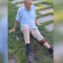 Başıboş sokak köpeği yaşlı adama saldırdı