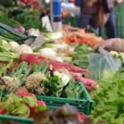 FAO: Küresel gıda fiyatları ağustosta sınırlı düşüş kaydetti