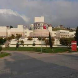 İskenderun'da maymun çiçeği iddiası! Açıklama geldi