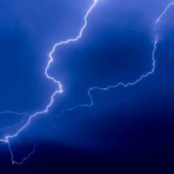 Mersin'de yıldım faciası: 20 ke&ccedil;i ve 1 k&ouml;pek telef oldu