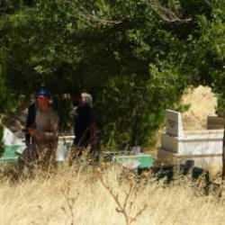 Narin'in cansız bedeni bulundu! Ünlü isimlerden arka arkaya sosyal medyadan isyan etti...