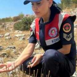 '&Ouml;lmez &ccedil;i&ccedil;eği'ni koparmanın cezası 387 bin 141 TL