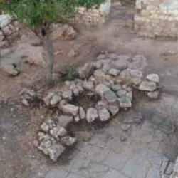 Türkiye'de ilk kez rastlandı! Şaşkına çevirdi