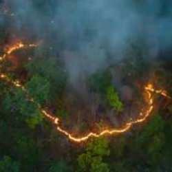 Üçte ikisinde insan sorumlu: Her yıl 60 milyon ton artış görülüyor!
