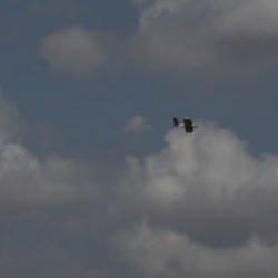 Adana'da "Savaşan İHA Yarışması"nın dördüncü gününde 15 takım mücadele etti