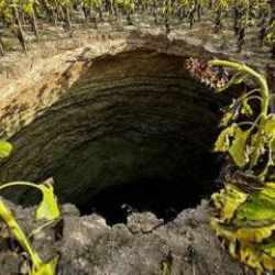 Eskişehir'de ay&ccedil;i&ccedil;eği tarlasında 5 metre &ccedil;apında obruk oluştu