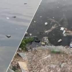 Hali&ccedil; &ccedil;&ouml;p g&ouml;l&uuml;ne d&ouml;n&uuml;yor