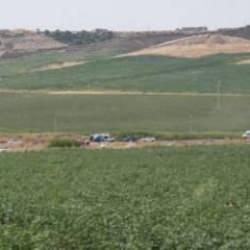 Narin Güran cinayetinde kim neden tutuklu! Son durum ne?