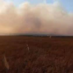 Sultan Sazlığı Milli Parkı'nda yangın