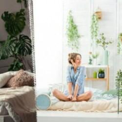 Yatak odasında bitki bulundurmak zararlı mı?  Bu bitkileri bir yere not edin!