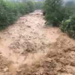 Artvin'de şiddetli sağanak etkili oldu! 