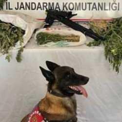 Bitlis'te uyuşturucu operasyonunda 3 g&ouml;zaltı