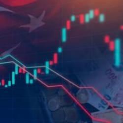 OECD'den Türkiye değerlendirmesi: Yatırımcı ilgisi artıyor