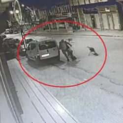 Peş peşe başıboş k&ouml;peklerin saldırısına uğradı!