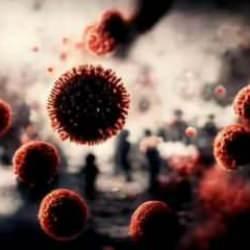 T&uuml;rk profes&ouml;rden Kovid-19 a&ccedil;ıklaması: XEC T&uuml;rkiye'de etkin olacak!