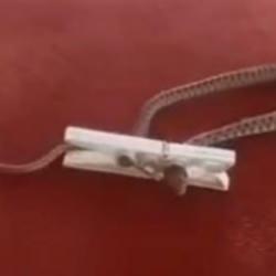 Bu da olmaz demeyin, oldu: Evine giren yılanı mandalla yakaladı