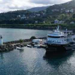 Doğu Karadenizli balıkçılar hamsi için gün sayıyor