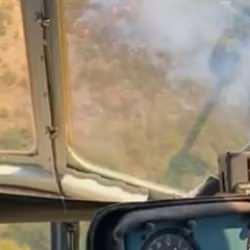 İzmir'de orman yangını! Havadan ve karadan m&uuml;dahale ediliyor