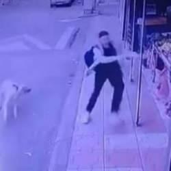  Başıboş sokak k&ouml;peği gen&ccedil; kıza dehşeti yaşattı! 