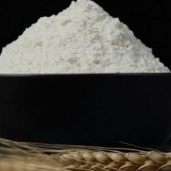 Türkiye un ihracatındaki şampiyonluğunu uzun yıllar sürdürecek