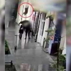 Yolda yürüyen kadının üstüne köpek düştü! O anlar kamerada