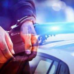 19 ilde 'Siberağ-9' operasyonu: 17 tutuklama